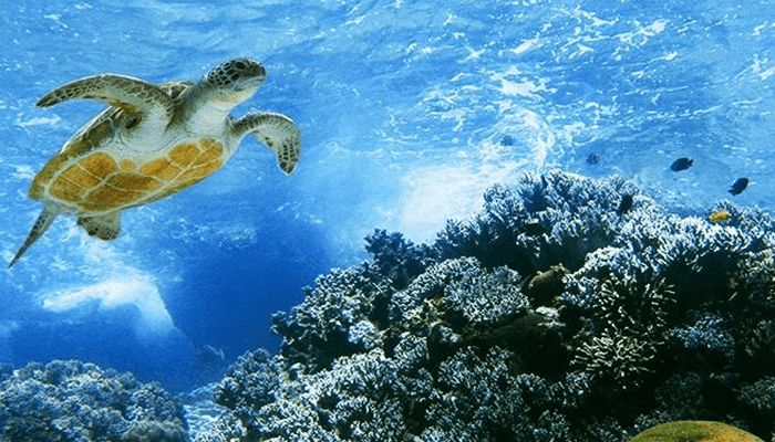 Ecosistema en la Isla Galápagos