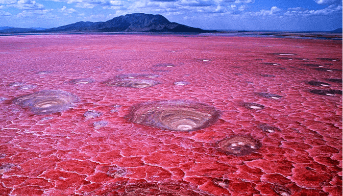 Lago Natron (Tanzania)