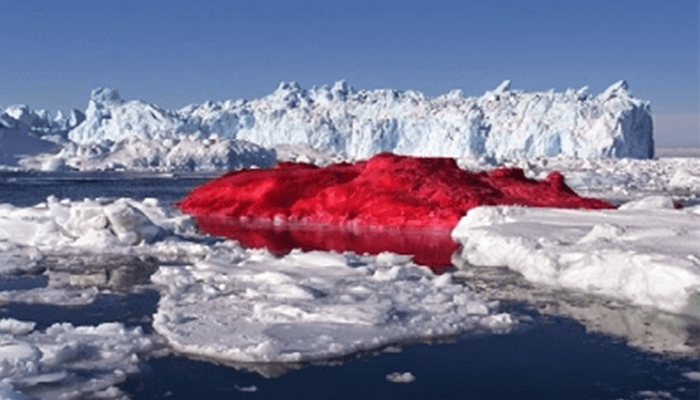 Cataratas de Sangre (Antártida)