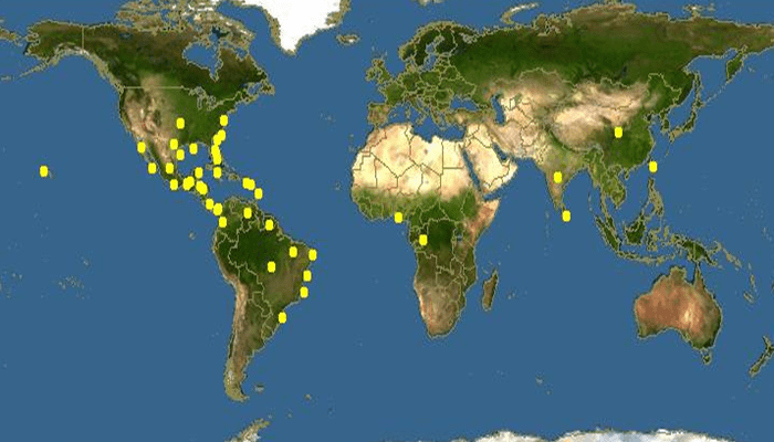 Distribución geográfica del Pez Dormilón