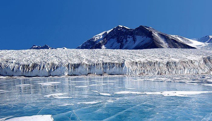 Océano Antártico ¡aguas llenas de vida y sorpresas! 2